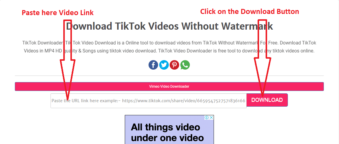 TikTok downloader - Download TikTok video without watermark online in mp4 