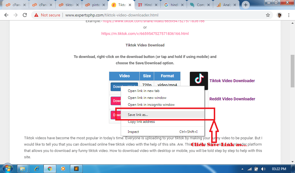 tiktok downloadr